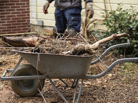Yard Debris Removal Near Me Vancouver WA