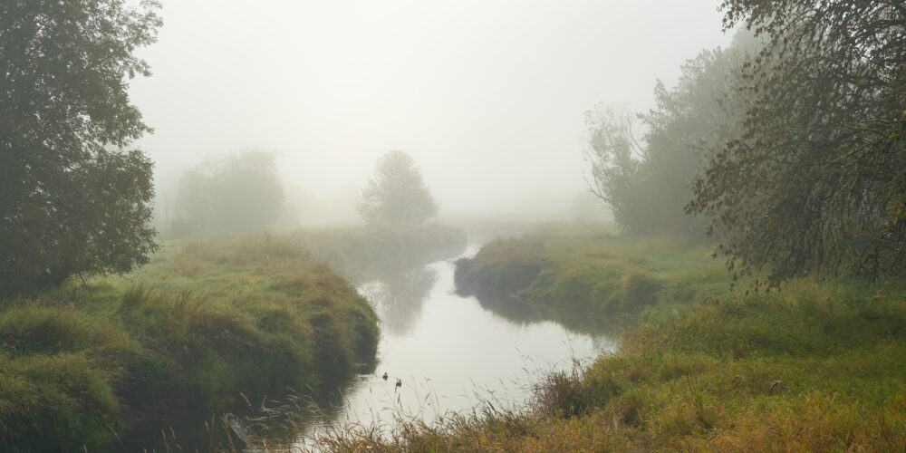 Salmon Creek In Vancouver, Washington.