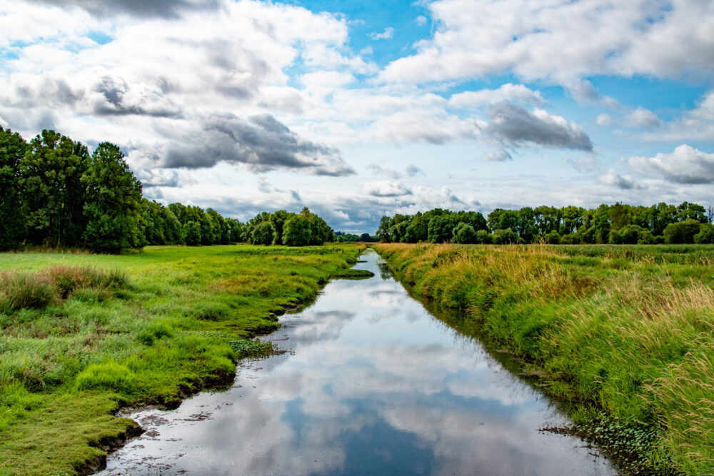 Ridgefield National Wildlife Refuge, Washington