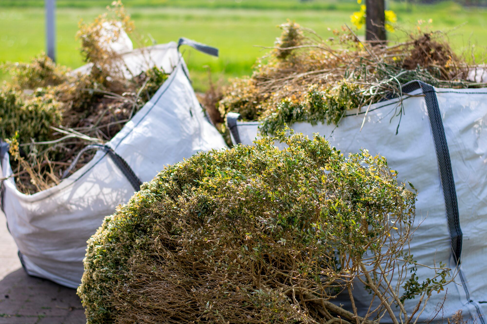 Junk Removal in Vancouver WA
